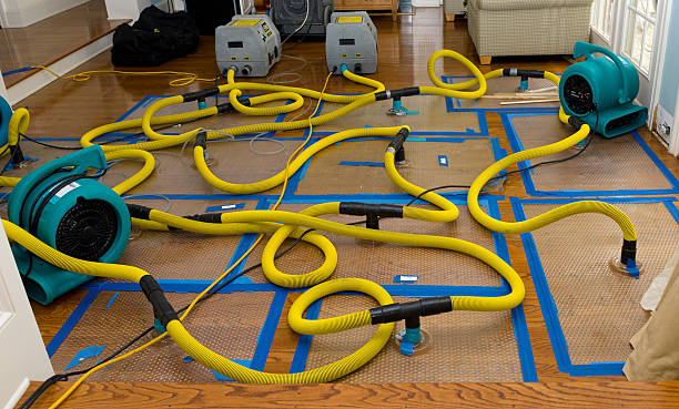 Professional Storm Water Damage Restoration technician working in Robersonville, NC