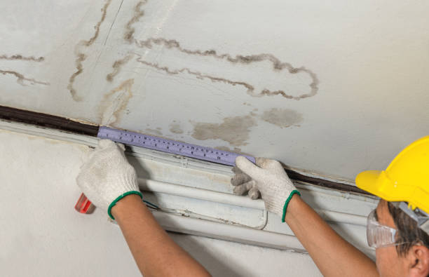 Affordable Water Damage Repair solutions in Robersonville, NC